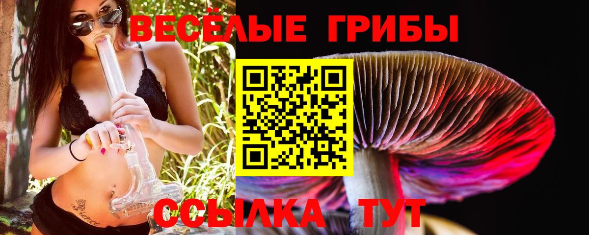 цена наркотик  Галлюциногенные грибы Cubensis  Чусовой  Вход с VPN  Галлюциногенные грибы Psilocybine cubensis 