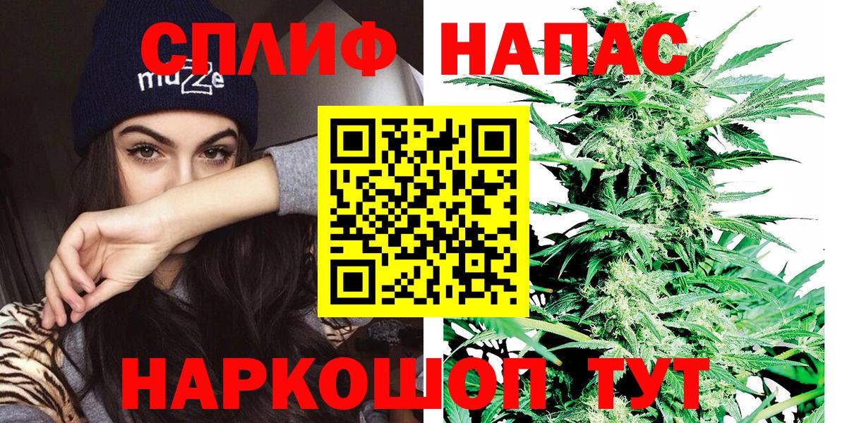 Бошки Шишки семена Чусовой